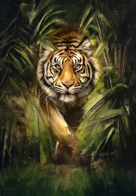 Пензенцев приглашают на показательное кормление тигров — Общество — Пенза  СМИ
