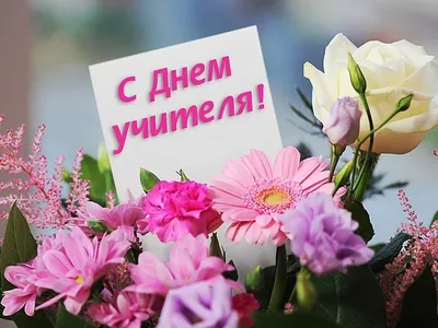 поздравления учителю физики, стихи учителю физики, стихи учителям  предметникам, день учителя, поздравление с днем учителя