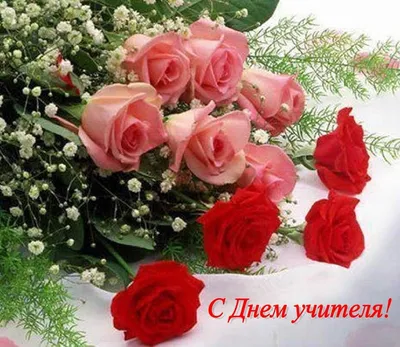 Букеты на День Учителя – розы с доставкой по Москве и Московской области