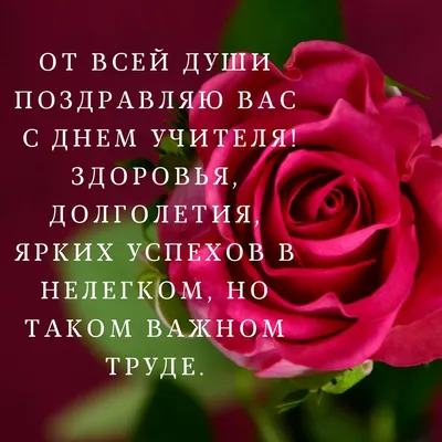 Шикарная открытка с Днём Учителя, с букетом красных роз • Аудио от Путина,  голосовые, музыкальные