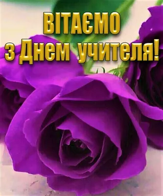 С Днем Учителя! - 3 Октября 2014 - dshi svetlogo