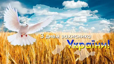 День защитников и защитниц Украины: 500 лет украинского войска | Новости  Одессы