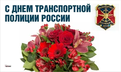 В ЛНР заявили о прибытии в район передовой украинских снайперов | ИА  Красная Весна