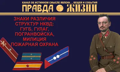 Знаки различия НКВД, милиции, пограничников, пожарной охраны образца 1936 г  » Военные материалы