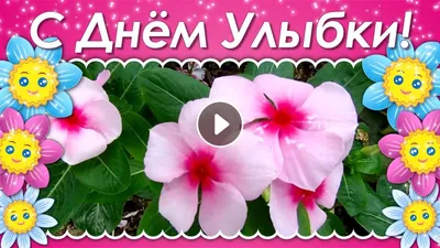 С Днём улыбки! Мило улыбающийся …» — создано в Шедевруме