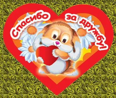День Святого Валентина 2018 в Донецке: Что подарить парню на День  влюблённых - 