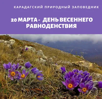 20 марта – День весеннего равноденствия. Алтайский краевой детский  экологический центр. АКДЭЦ v.2