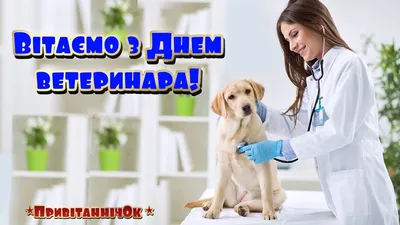 С днем ветеринарного работника!