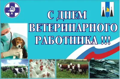 31 августа -День ветеринарного врача – Ульяновский областной Фонд защиты  животных "Флора и Лавра"