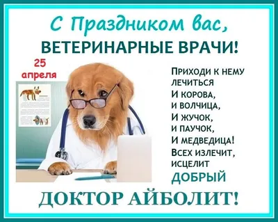 С Днем ветеринарного врача! Яркие поздравления и открытки в праздник 29  апреля | Весь Искитим | Дзен