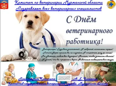 Virtual Vet Russia - Поздравляем с Днем Ветеринарного Врача! #ветеринария  #ветеринарныйврач | Facebook