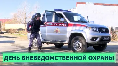 Картинки на День вневедомственной охраны (39 фото) » Юмор, позитив и много  смешных картинок