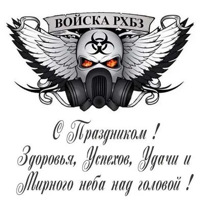 Михаил Развожаев: 13 ноября - День войск радиационной, химической и  биологической защиты - Лента новостей Севастополя