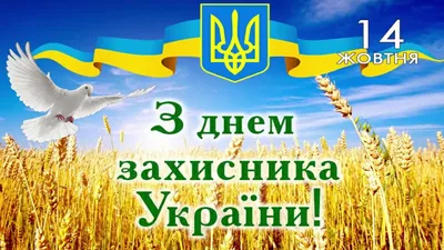 День защитников и защитниц Украины 14 октября - яркие поздравления в  открытках и стихах - Апостроф