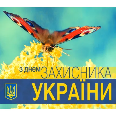 С наступающим Днём защитника Украины!