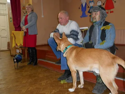 Поздравляем с Днём защиты животных! | Воронежский государственный природный  биосферный заповедник имени В.М. Пескова