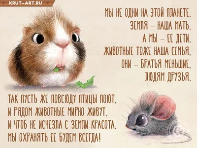 Всемирный день защиты животных — Бесплатные открытки и анимация