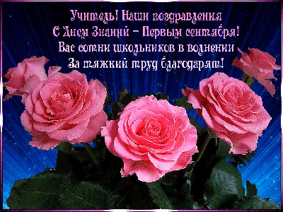 Поздравление Главы г.о.Сызрань Н.М.Лядина с Днём знаний : МО ГО Сызрань