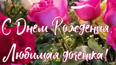 Институт госзакупок on Twitter: "Сегодня отмечает день рождения Губадова  Дарья Дмитриевна, начальник отдела по сертификации и учебной работе  Института госзакупок! Поздравляем Дарью Дмитриевну с днём рождения и желаем  ей здоровья, наполненной и