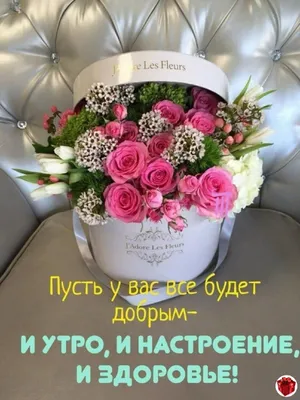 ДОБРОЕ УТРО! 🌞 ПОЗИТИВА 🍊🍎🍋 и главное ЗДОРОВЬЯ ! 🌸❤😉💐😋❤🌸 Улыбнись,  и весь мир улыбне… | Жизнеутверждающие цитаты, Юмор о настроении, Слова на  день рождения