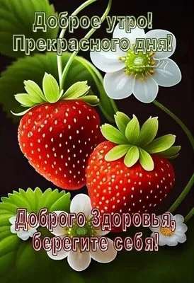 Открытка доброе утро прекрасного дня доброго здоровья - скачать бесплатно  от Fonwall