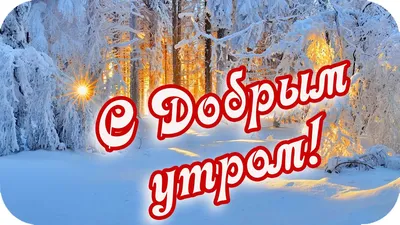 Доброе утро! Пусть рядом будут доброта, здоровье, мир и красота!!! 🌷🦋💐 | Доброе  утро, Утренние сообщения, Позитивные цитаты