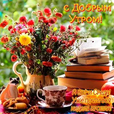 Открытки "Доброго утра!" в среду (100+)