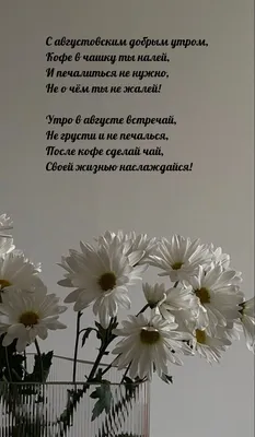 Пин от пользователя Shulgina на доске Доброе летнее утро | Доброе утро,  Утренние цитаты, Подруги