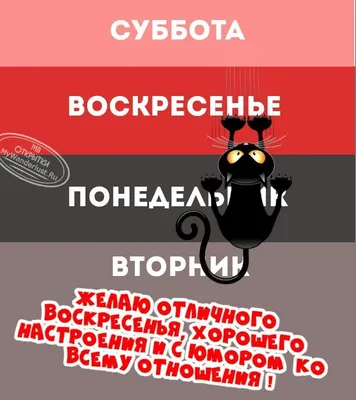 Красивые картинки пусть воскресенье будет добрым (40 фото) » Юмор, позитив  и много смешных картинок