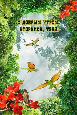 Красивая гифка "С добрым утром Вторника! Успехов во всём!" • Аудио от  Путина, голосовые, музыкальные