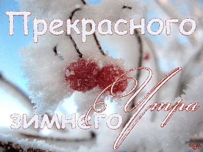 ❄️⛄😍 Картинки с добрым зимним утром. +100 картинок! | Зимние картинки,  Живописные пейзажи, Пейзажи