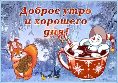 С ДОБРЫМ УТРОМ ФЕВРАЛЯ! - YouTube