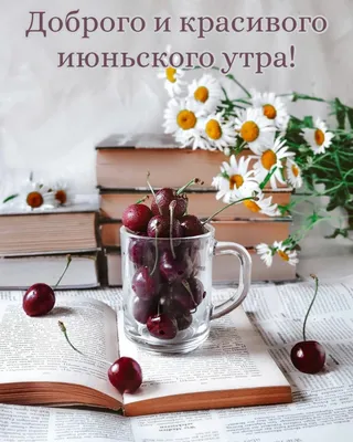 Открытки "Доброго июньского утра!" (88 шт.)