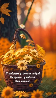 Доброго октябрьского утра🍂🍂🍂 | Good morning, Cool pictures, Morning