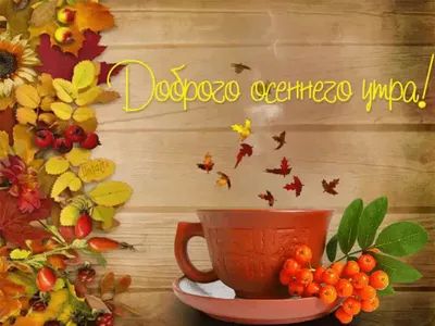 С добрым осенним утром!☕️ Отличного дня!☂️🍁 Супер Песня! Красивая  музыкальная открытка Доброе Утро! - YouTube