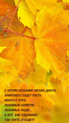 Красивые осенние картинки "Доброе утро!" (552 шт.)