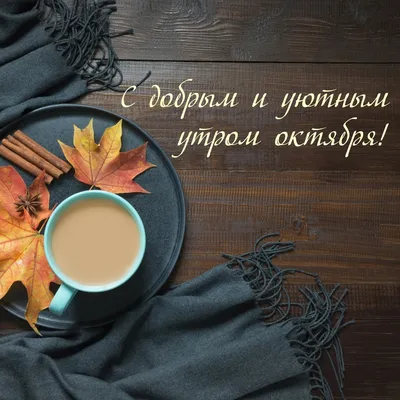 С добрым осенним утром понедельника!🌤️🏠☕🍒🌾🍂🍁🤗😘 | TikTok