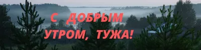 Открытки "Доброго утра ноября!" бесплатно (154 шт.)