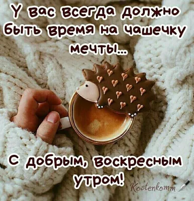 Ответы : Доброго утра всем! А по воскресениям, утро бывает только  добрым, пусть даже пасмурным?