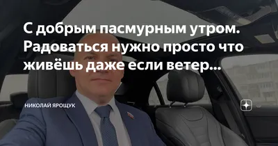 С добрым пасмурным утром. Радоваться нужно просто что живёшь даже если  ветер… | Николай Ярощук | Дзен