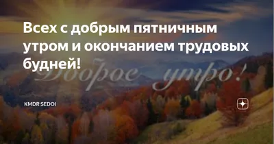 Всех с добрым пятничным утром и окончанием трудовых будней! | KMDR Sedoi |  Дзен