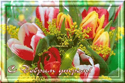 Доброе утро открытки тюльпаны - 76 фото