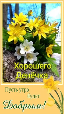 Хорошего денёчка! Пусть утро будет добрым! | Доброе утро, Семейные дни  рождения, Картинки