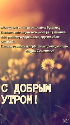 Андрей Гражданкин - С добрым утром - YouTube