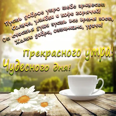 С добрым утром! Пусть сегодня встречаются только приятные люди, а удача  сопутствует во всех начинаниях! Желаю отлично бодрости, отличного  самочувствия и прекрасного настроения! - Лента новостей Мелитополя