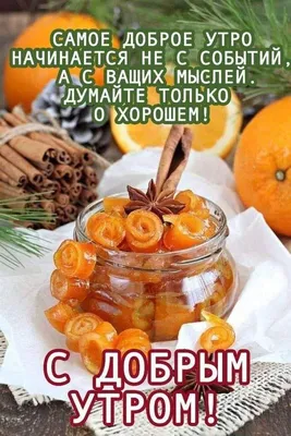 Корнилова Наталия Николаевна on X: "@Andrey70N Доброе утро, чудесного дня,  Андрей! /vExWPzZjl6" / X