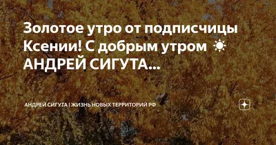 Доброе утро красивые картинки. 120 новых открыток с добрым утром. | Зимние  цитаты, Утренние цитаты, Доброе утро