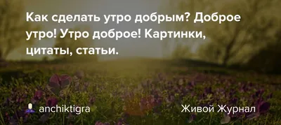 Золотое утро от подписчицы Ксении! С добрым утром ☀️ АНДРЕЙ СИГУТА… | Андрей  Сигута | Жизнь новых территорий РФ | Дзен