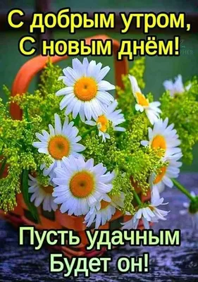 🌸☕️ Здравствуй, Август! Доброе утро Августа!🌸 Счастливого Августа!  Музыкальная видео открытка. - YouTube