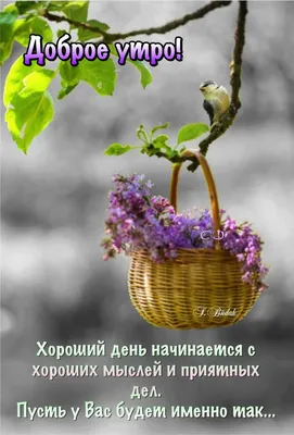 Olgа🌺🌿 on X: "@veskii4571 @ValentinaSh7 Доброе утро!😘  /VCNWXDkeTy" / X